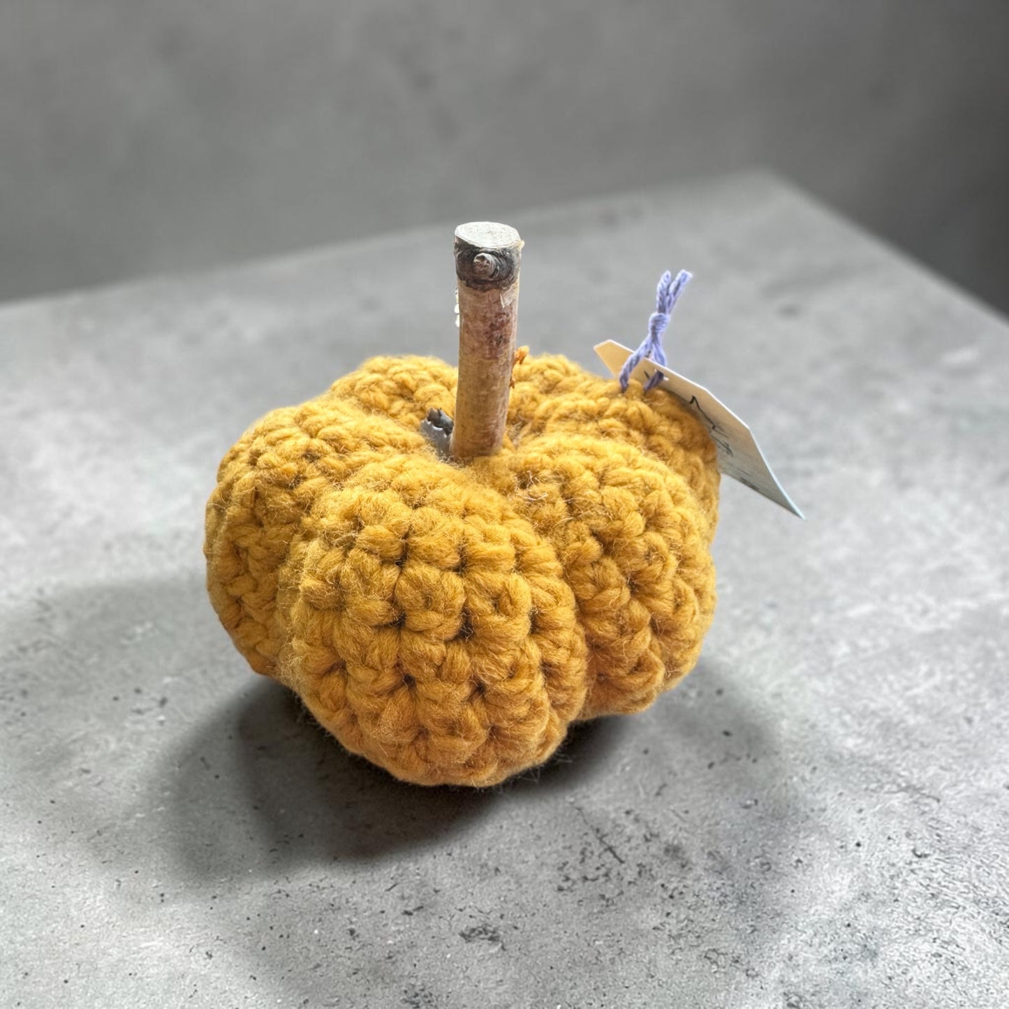 Woodland Whimsy Crochet Pumpkin